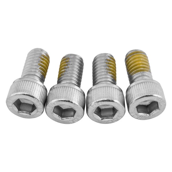 Big Gun Exhaust® - Silver End Tip Allen Screws