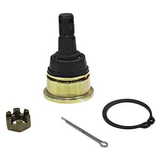 Bronco ATV® - Lower or Upper Ball Joint