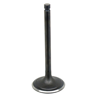 Bronco ATV® - Intake Valve