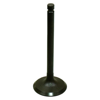 Bronco ATV® - Intake Valve