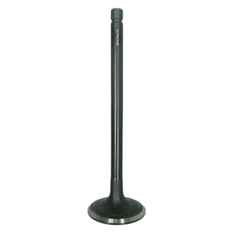Bronco ATV® - Intake Valve