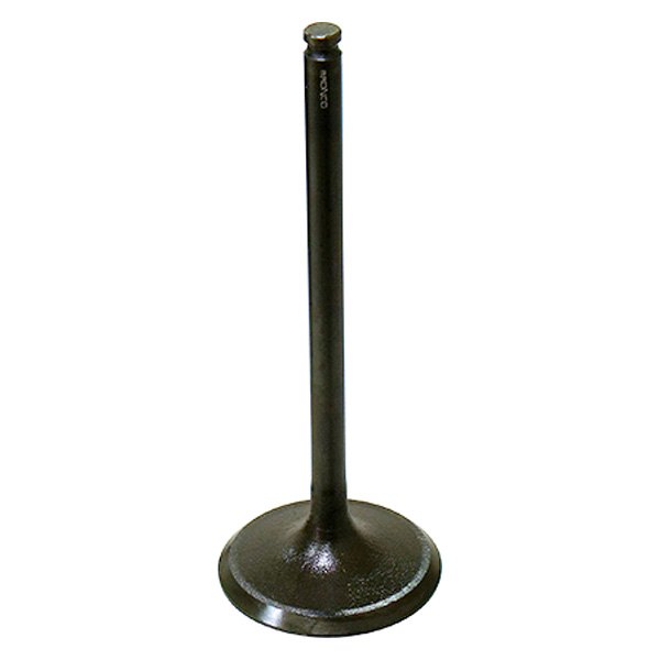 Bronco ATV® - Intake Valve