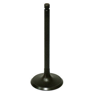 Bronco ATV® - Intake Valve
