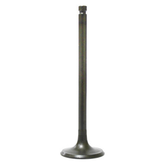 Bronco ATV® - Intake Valve