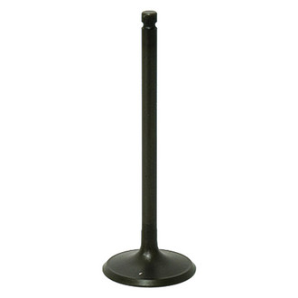 Bronco ATV® - Intake Valve