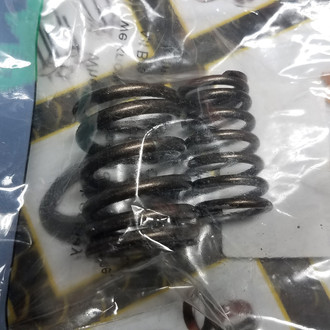Bronco ATV® - Valve Spring