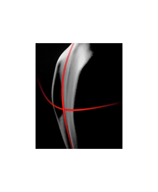 Dainese - Anatomy