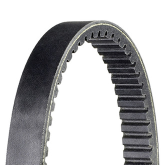 Dayco® - HP™ High Performance Drive Belt