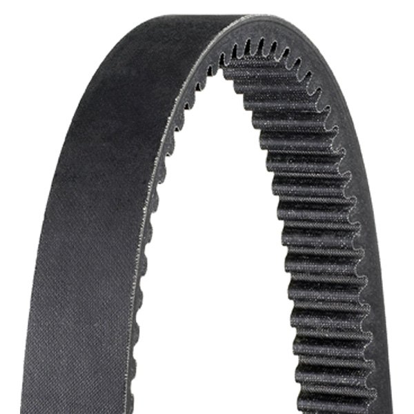 Dayco® - High Performance Drive Belt