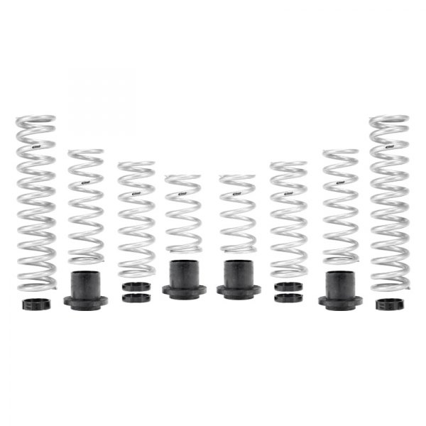 Eibach® PROUTV Spring System