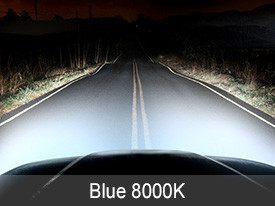 EVO Lighting Halogen Bulbs Installed - Blue