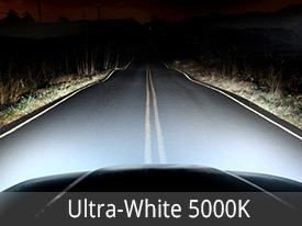 EVO Lighting Halogen Bulbs Installed - Ultra White