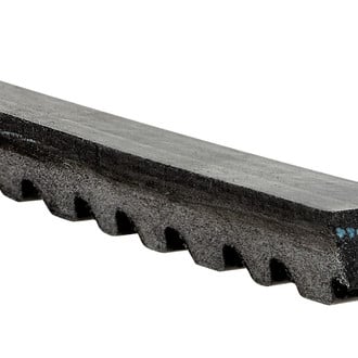 Gates® - Accessory Drive Belt MP