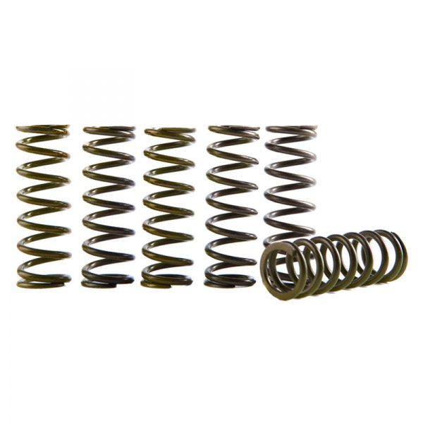 Hinson Clutch Components® - Hi-Temp Clutch Spring Kit