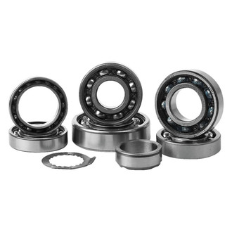 Hot Rods® - Transmission Bearing Kit