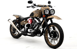 KC HiLiTES Lights Project Vehicles