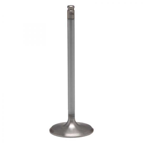 Kibblewhite® - Stainless Steel Standard Intake Valve