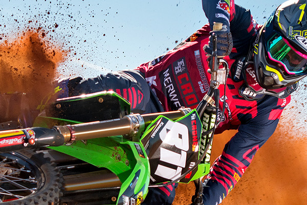 Dirt 2019 Catalog