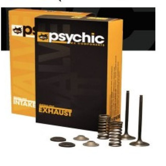Psychic Motorsports® - Exhaust Valve