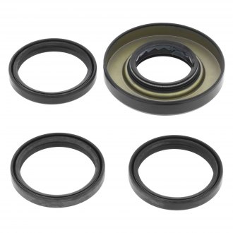 COMPLETE Rear Differential & Axle Bearing Seal Kit for 2001-2011 Honda TRX 250EX Sportrax ATV
