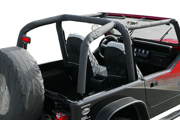 Rampage® -  Slimline 2 Sidebar with Step Ford F150 Crew Cab 2009