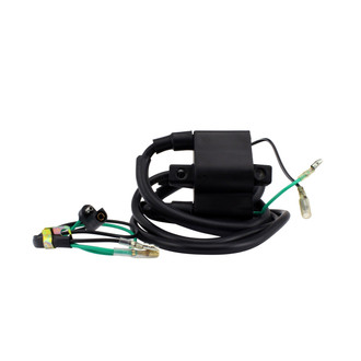 RMStator® - External Ignition Coil