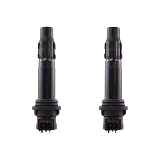 RMStator® - 2 Pack Ignition Coil