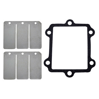 SPI® - A/C Reed Valve Repair Kit
