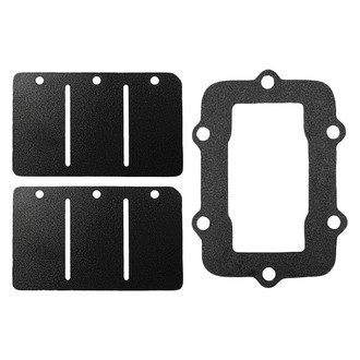 SPI® - S-D Reed Valve Repair Kit