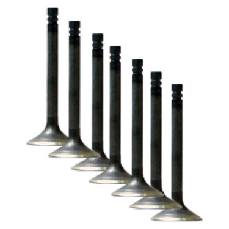 Vesrah® - Exhaust Valve