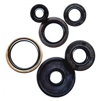 Oil Seal Kit For 2006 Polaris Trail Blazer 250 ATV Winderosa 822140