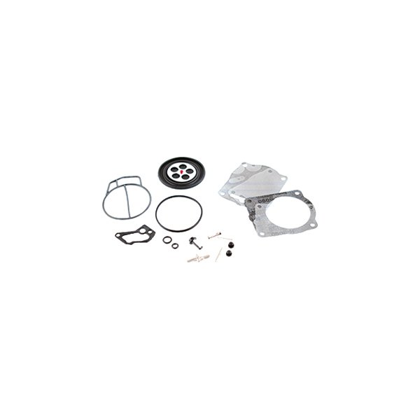 WSM® Carburetor/Fuel Pump Rebuild Kit