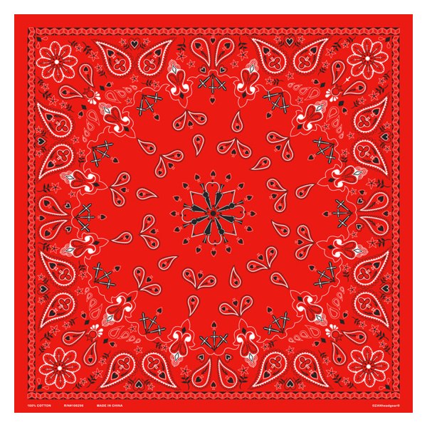 ZANheadgear® - Cotton Red Paisley Bandanna (22 X 22 IN, Red Paisley)